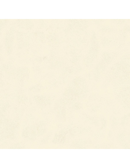 Century Calcio 60 X 60 R